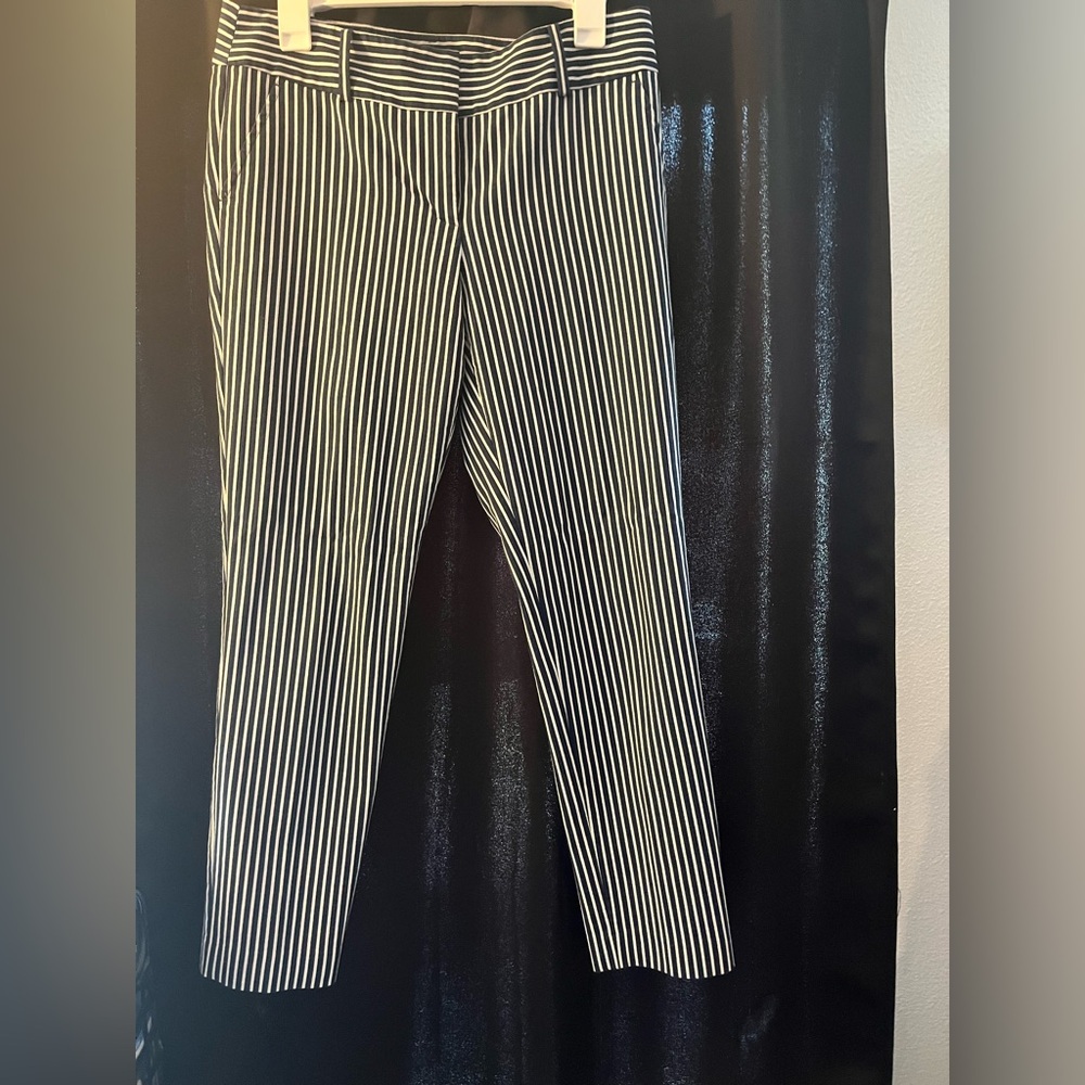 Ann Taylor Navy and White Striped Trousers